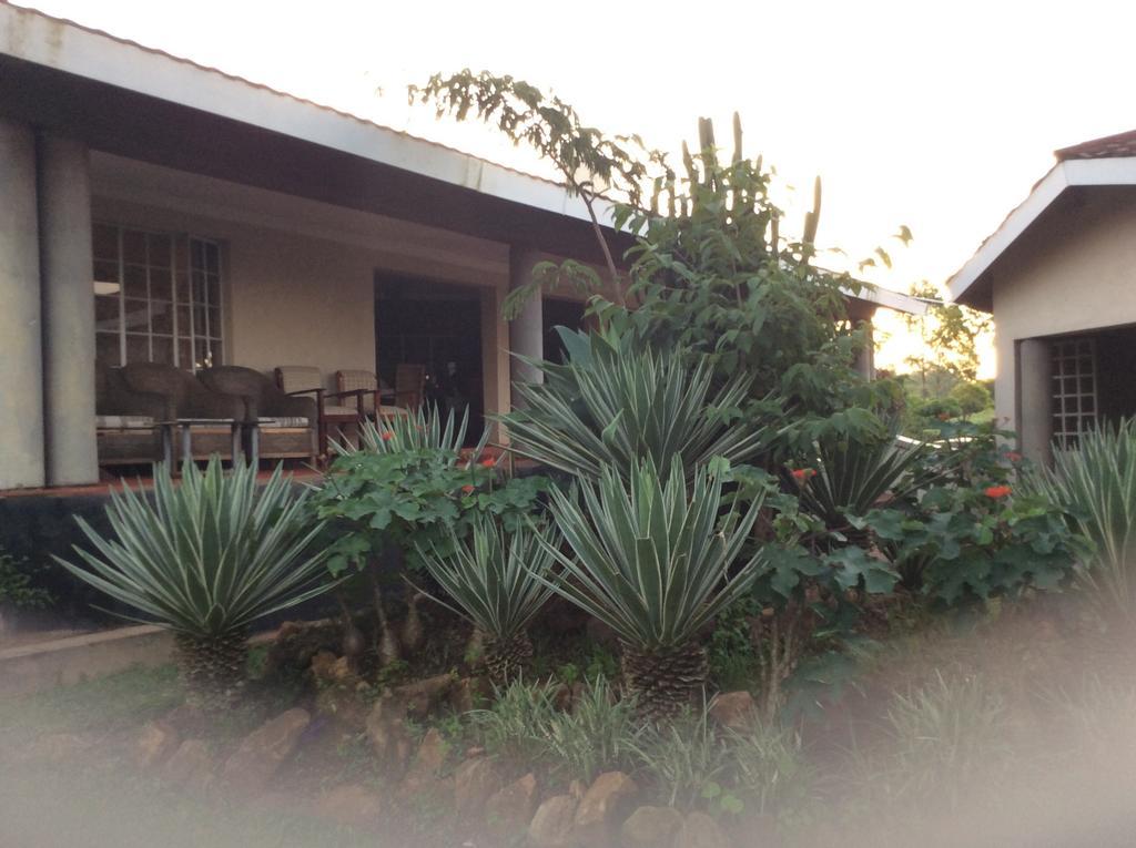 Palm Valley Lodge Chigumula Exterior photo