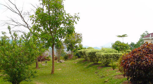 Palm Valley Lodge Chigumula Exterior photo