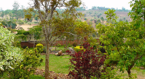 Palm Valley Lodge Chigumula Exterior photo